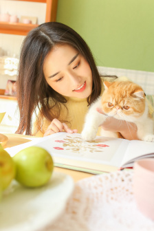 红犬历险记
